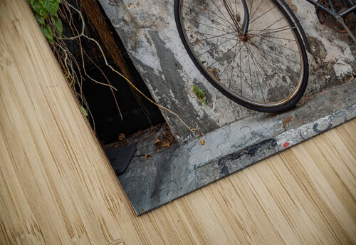 Little Children on a Bicycle Dave Bowman puzzle