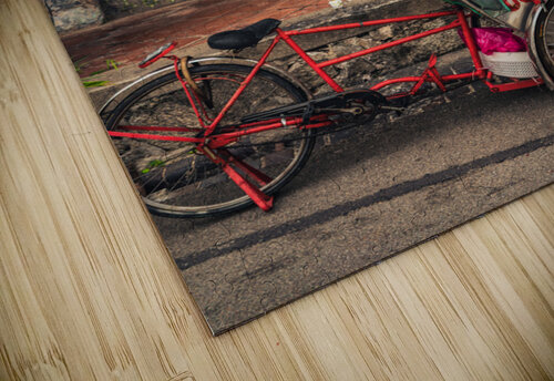 Backstreets of Penang Dave Bowman puzzle