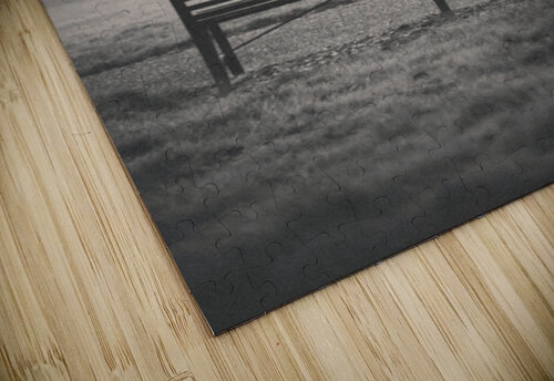 Vacant Solitude Dave Bowman puzzle