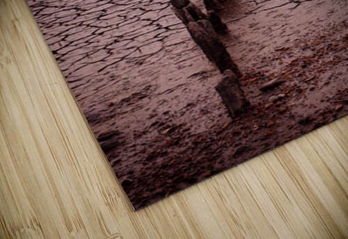 Snettisham Salt Marsh Dave Bowman puzzle