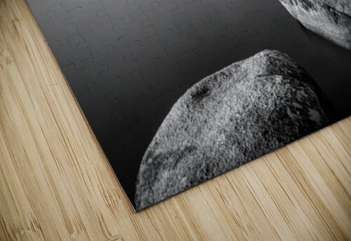 Loch Garten Dave Bowman puzzle