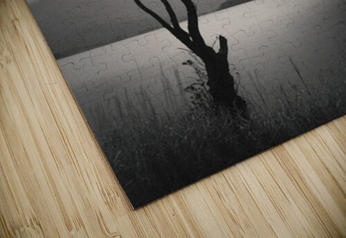 Lone Tree on Buttermere Dave Bowman puzzle