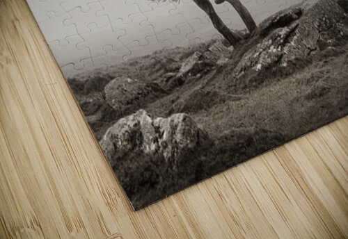 Dartmoor Solitude Dave Bowman puzzle