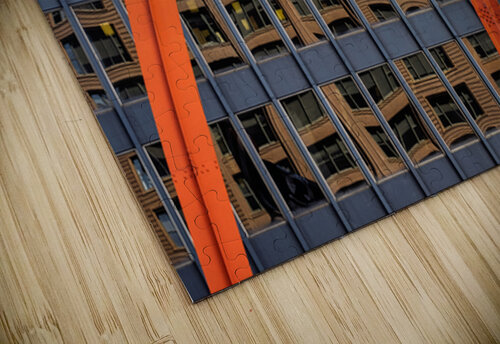 Flamingo Reflections Dave Bowman puzzle