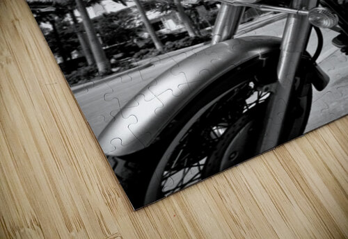 South Beach Cruiser Dave Bowman puzzle