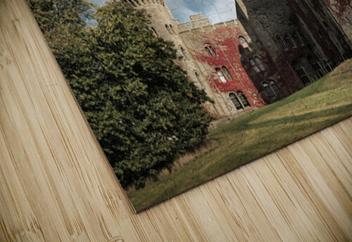 Penrhyn Castle Dave Bowman puzzle