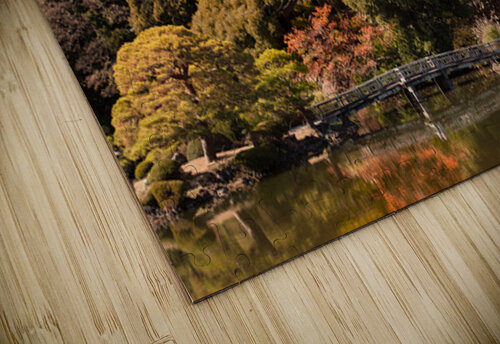 Shinjuku Gyoen National Garden Dave Bowman puzzle