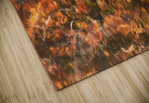 Shinjuku Gyoen Autumn Reflection Dave Bowman puzzle