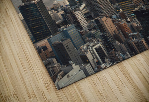 Evening Over Tokyo Bay Dave Bowman puzzle