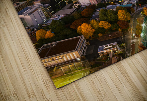 Minato City Dave Bowman puzzle