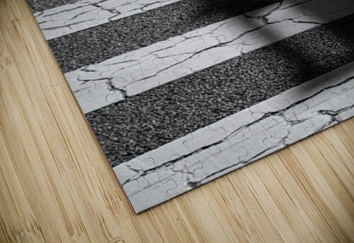 Tokyo Crossing Dave Bowman puzzle