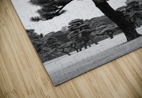 Japanese Black Pine Tree Dave Bowman puzzle