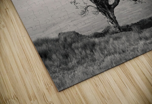 Islay Sentinel Dave Bowman puzzle