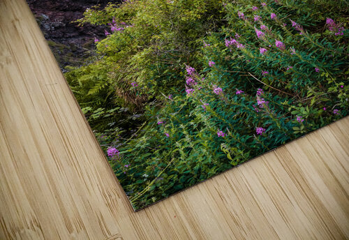 Summer at Dunnottar Castle Dave Bowman puzzle