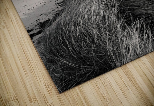 Berneray West Beach from Dunes Dave Bowman puzzle