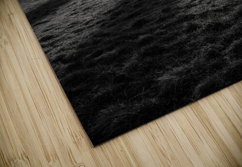 National Monument of Scotland Dave Bowman puzzle