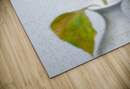 Sunflower Dave Bowman puzzle