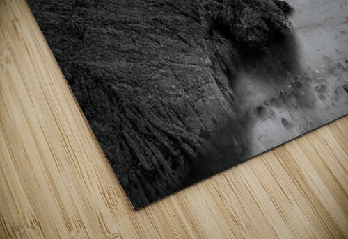 Bow Fiddle Rock I Dave Bowman puzzle