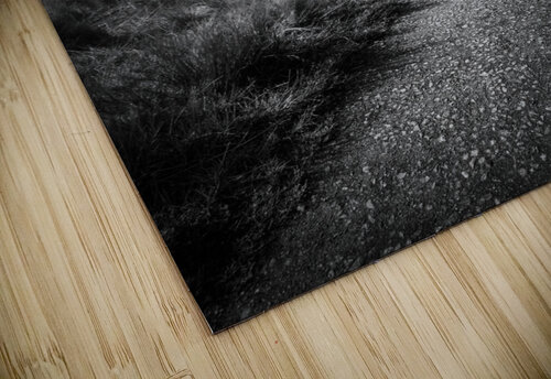 Path to Kilchurn Castle Dave Bowman puzzle