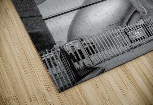 Girl with Magnifying Glass and subject Dave Bowman puzzle