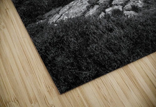 Abandoned Schoolhouse Dave Bowman puzzle