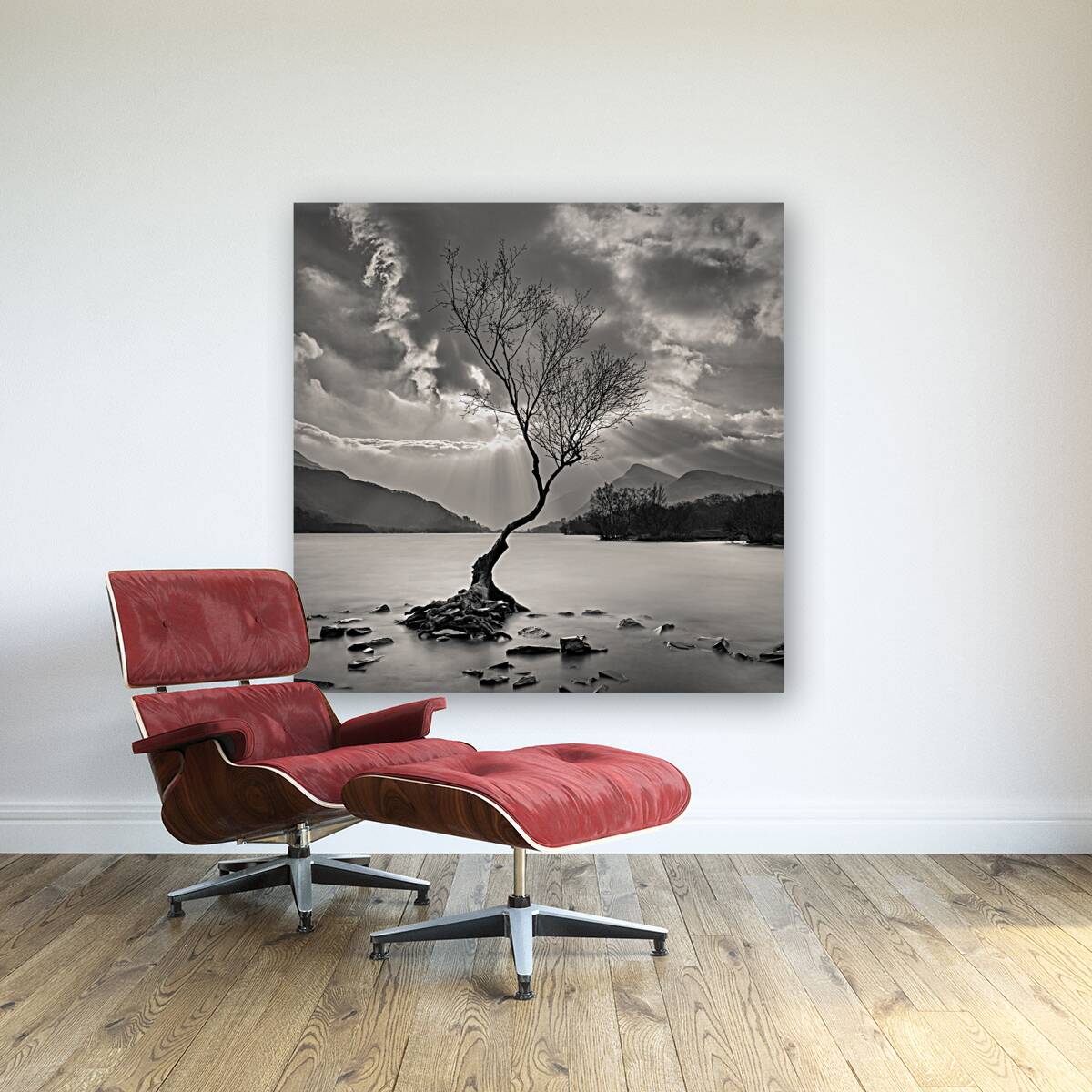 The Lonely Tree Reproduction