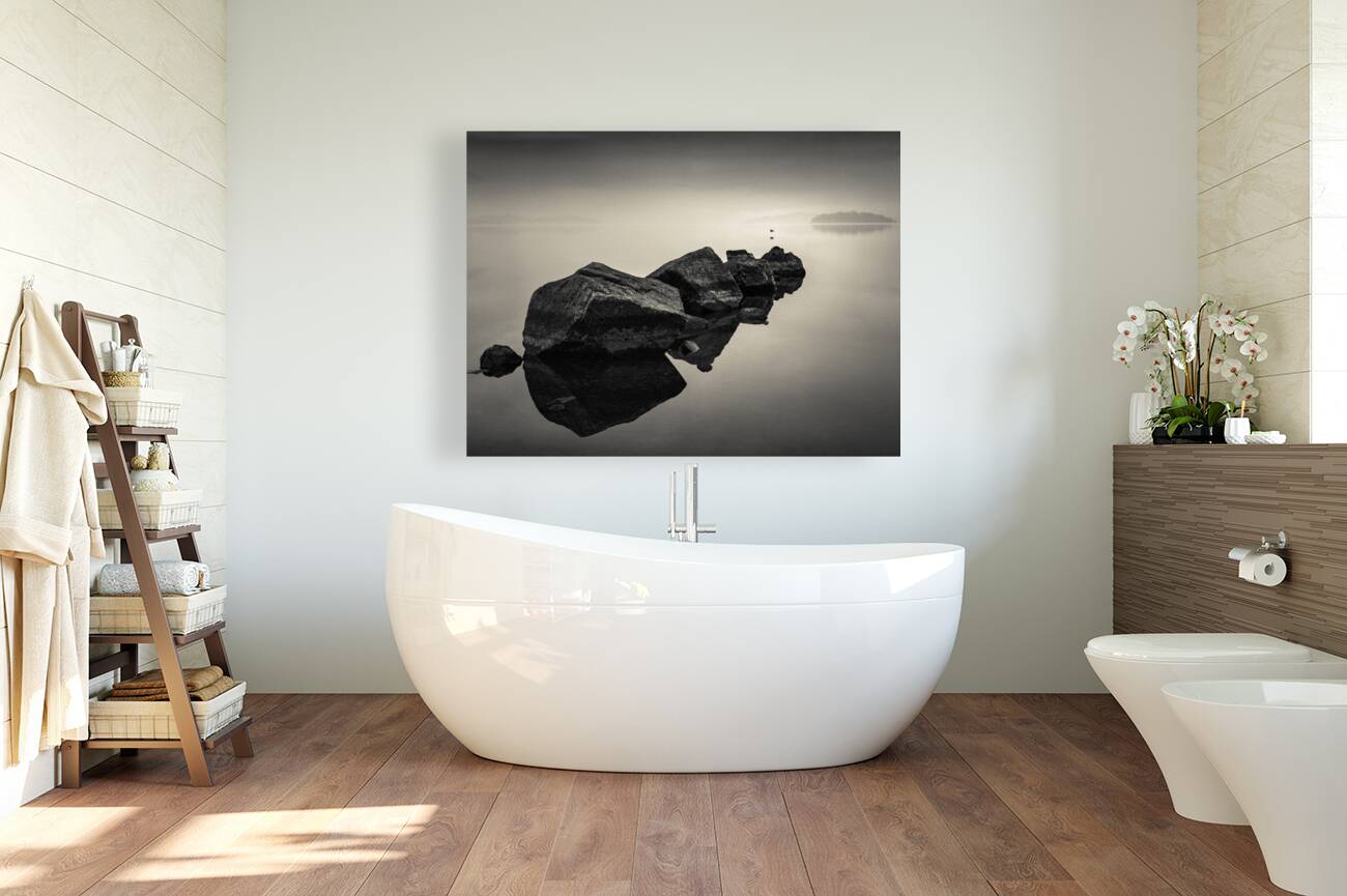 Dawn Flight Reproduction