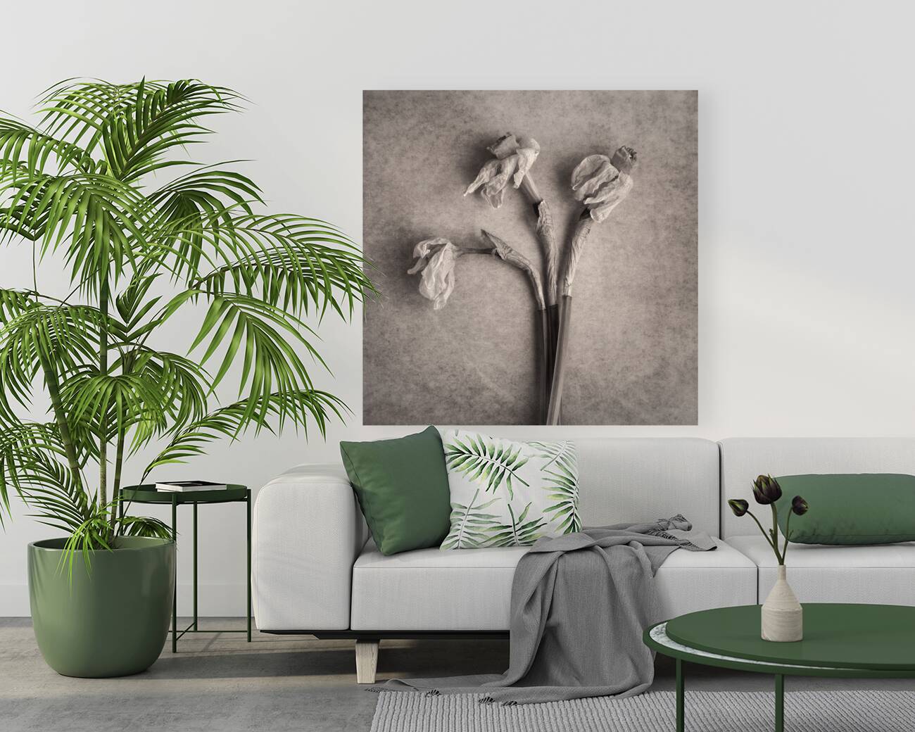 Fading Beauty Reproduction