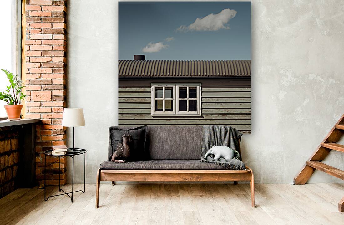 Cabin Cloud Reproduction