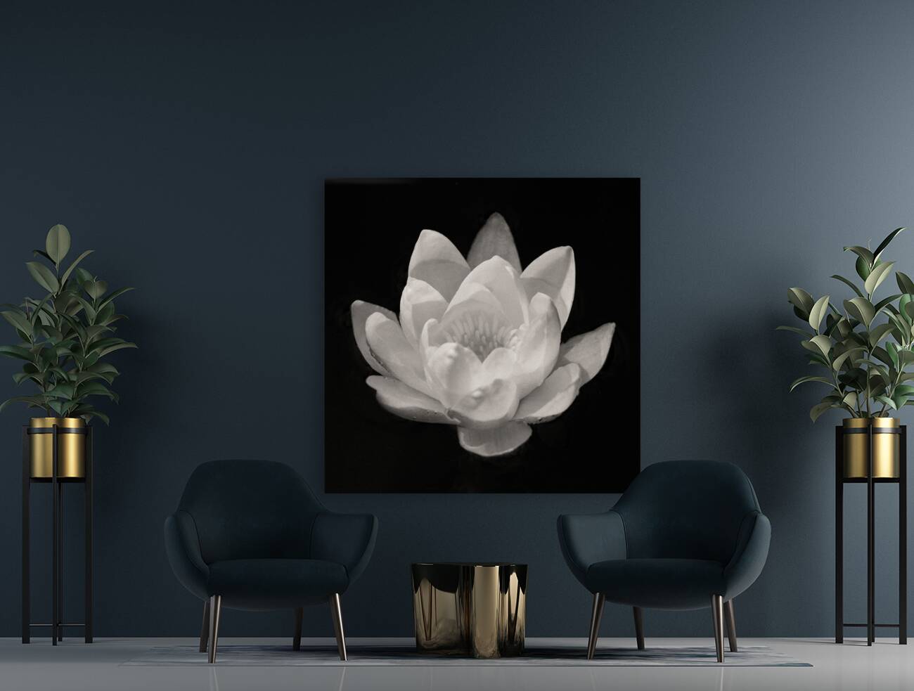 Water Lily Reproduction