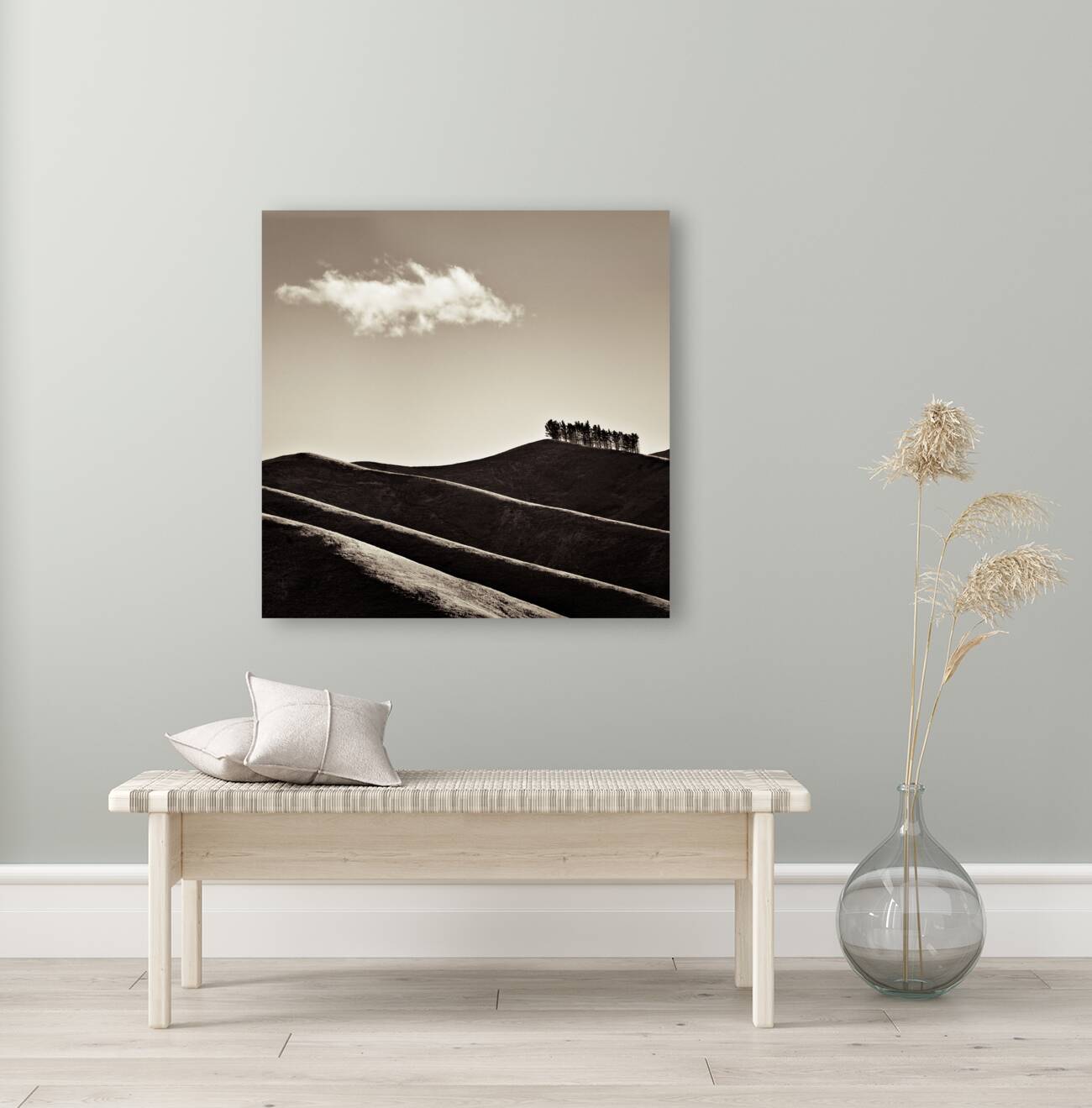 Solitary Cloud Reproduction