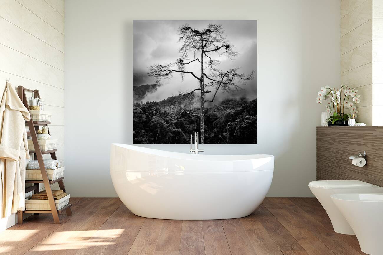 Solitary Tree Reproduction