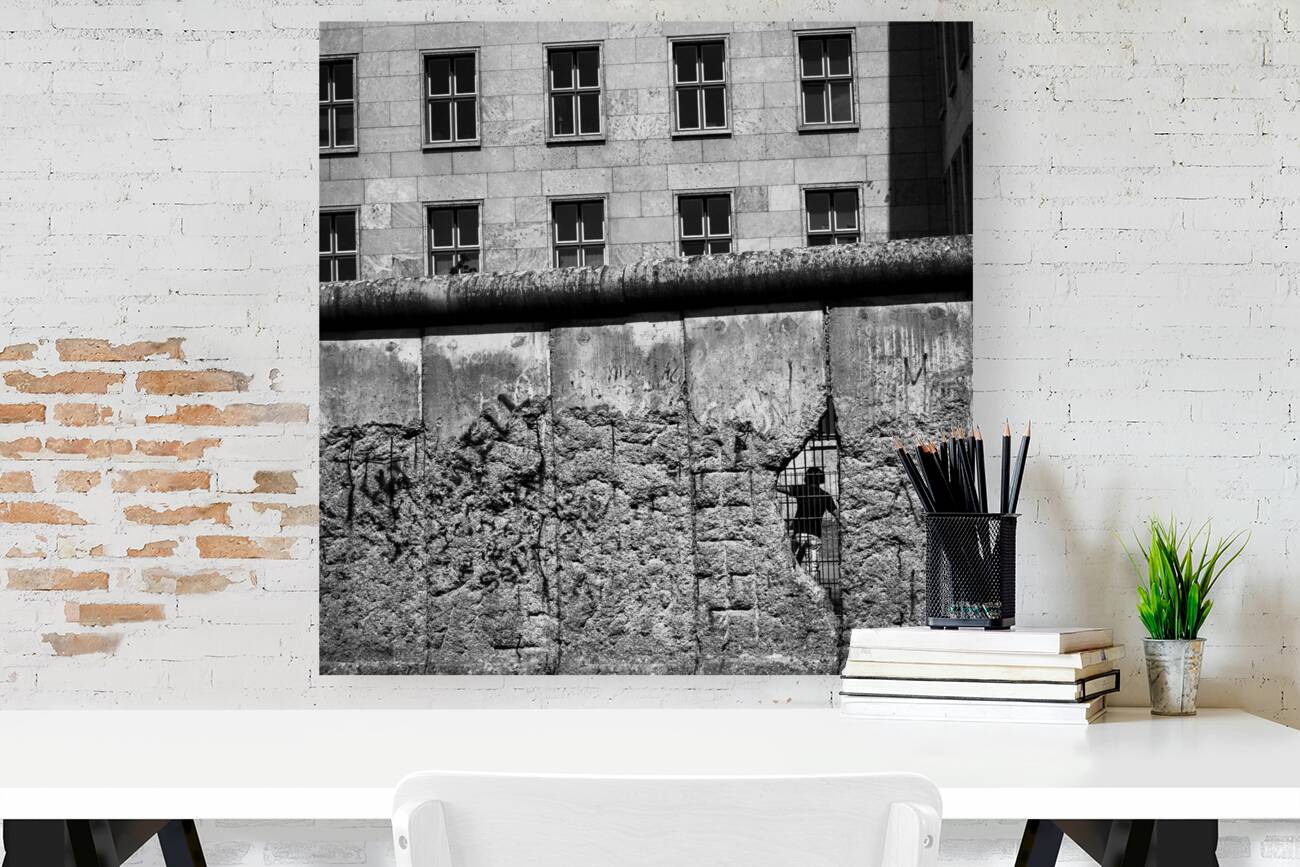 Beyond the Wall Reproduction