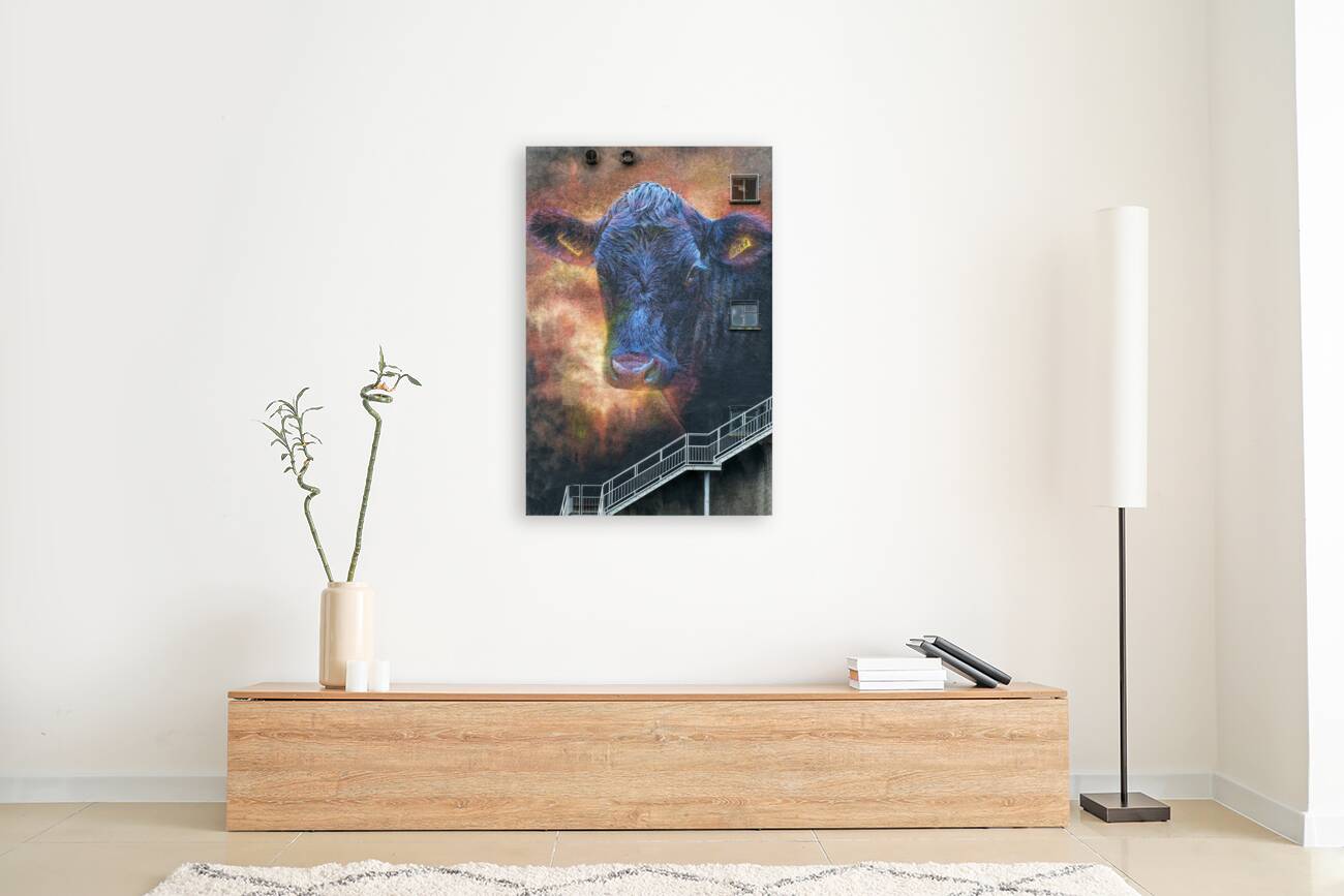 Ballymoney Cow Mural Reproduction