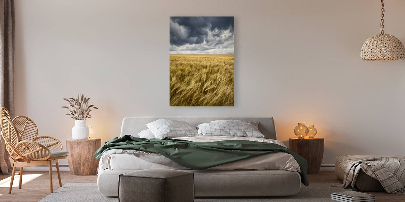 Storm Clouds Over Barley Field Reproduction
