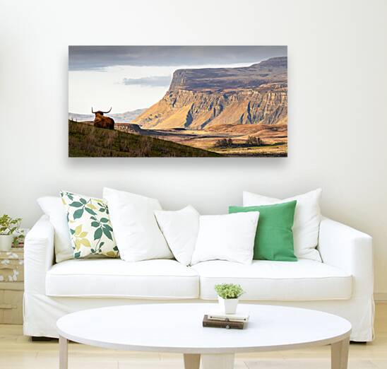 Highland Coo with a View Reproduction