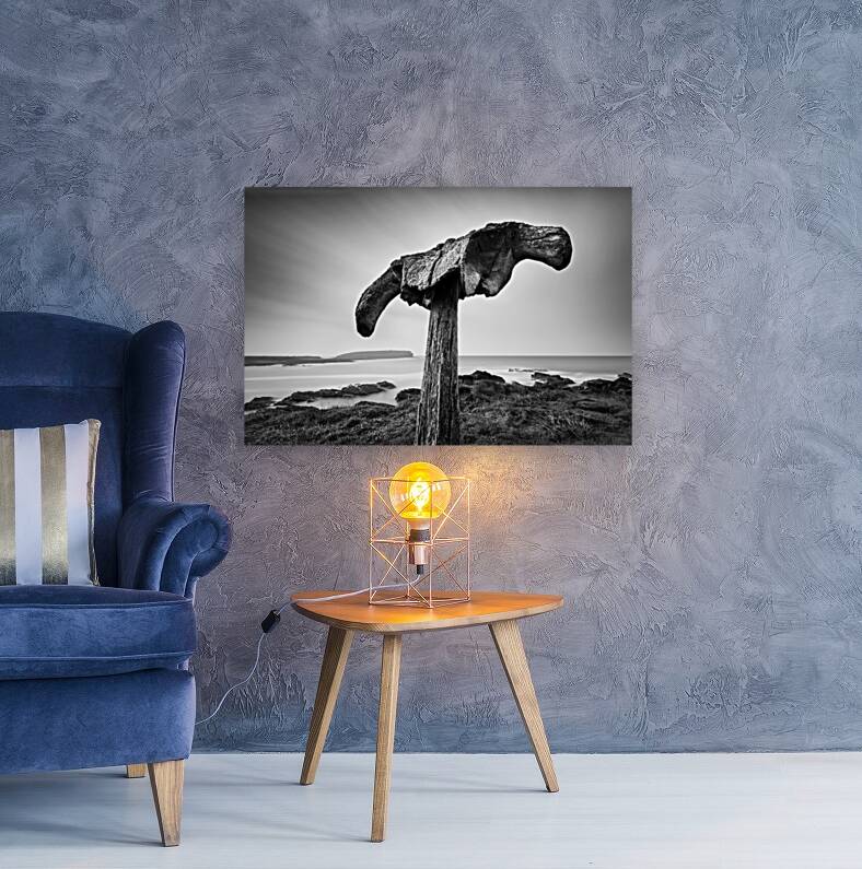 Whalebone Reproduction