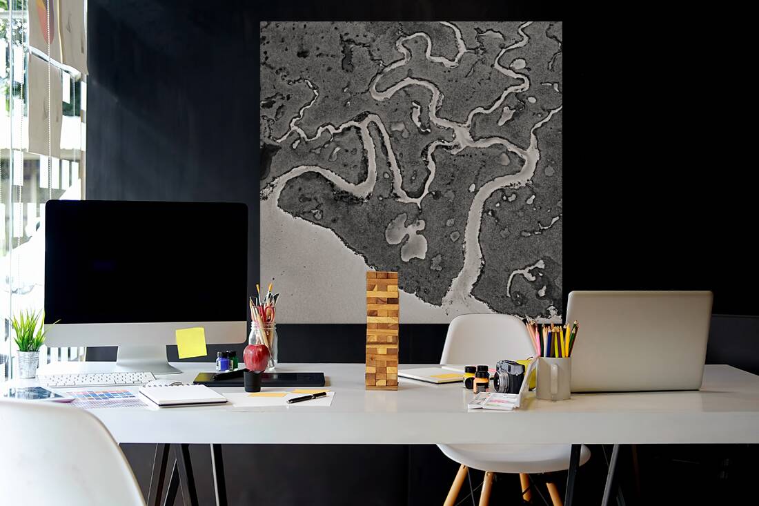 Salt Marsh Channels Reproduction