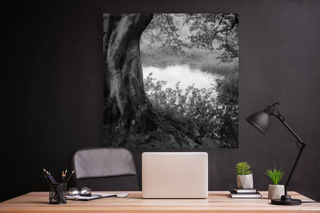 Summer Pond Reproduction