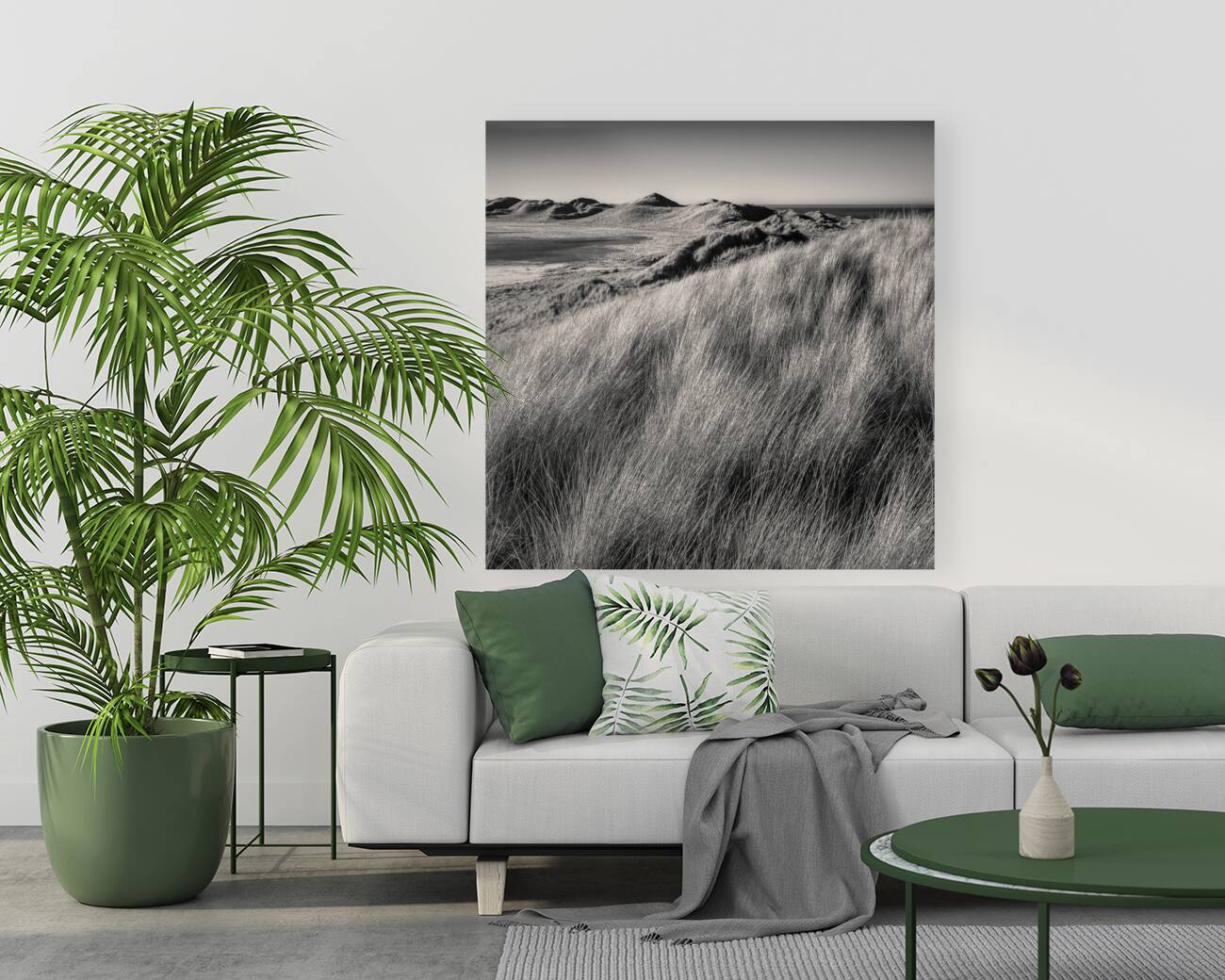 Rattray Head Dunes Reproduction