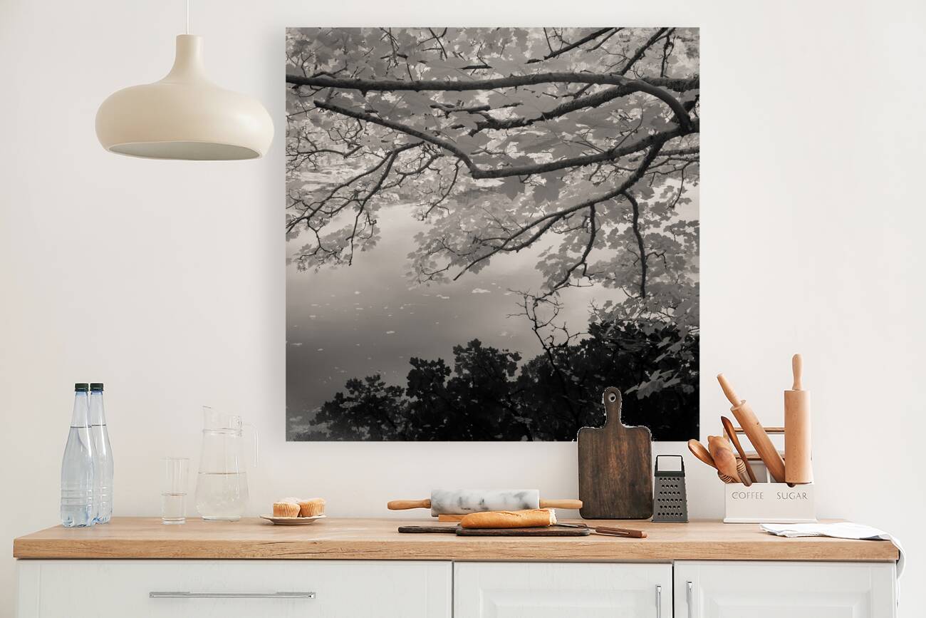 Bosherston Lakes Reproduction