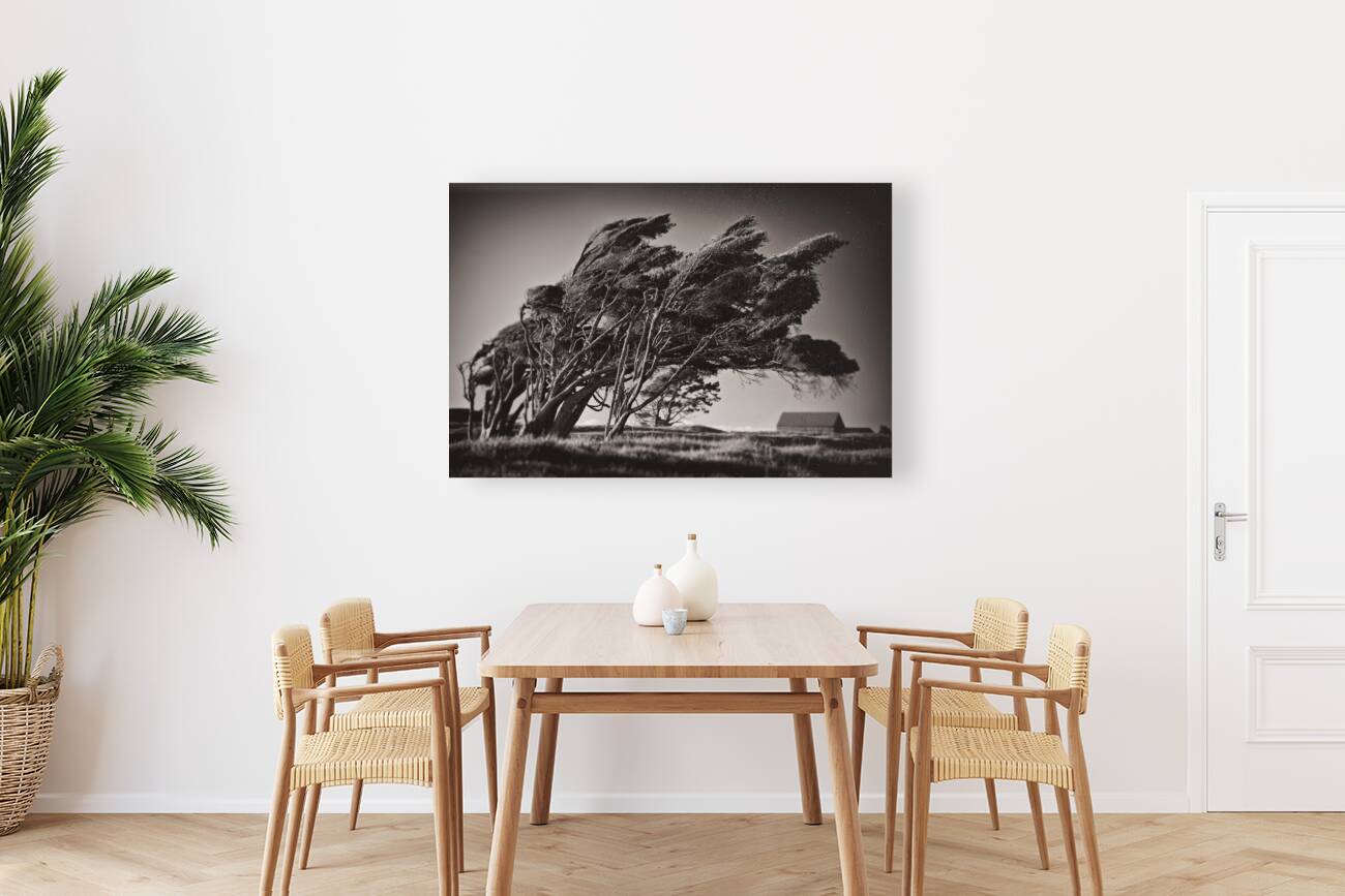 Windswept Trees Reproduction