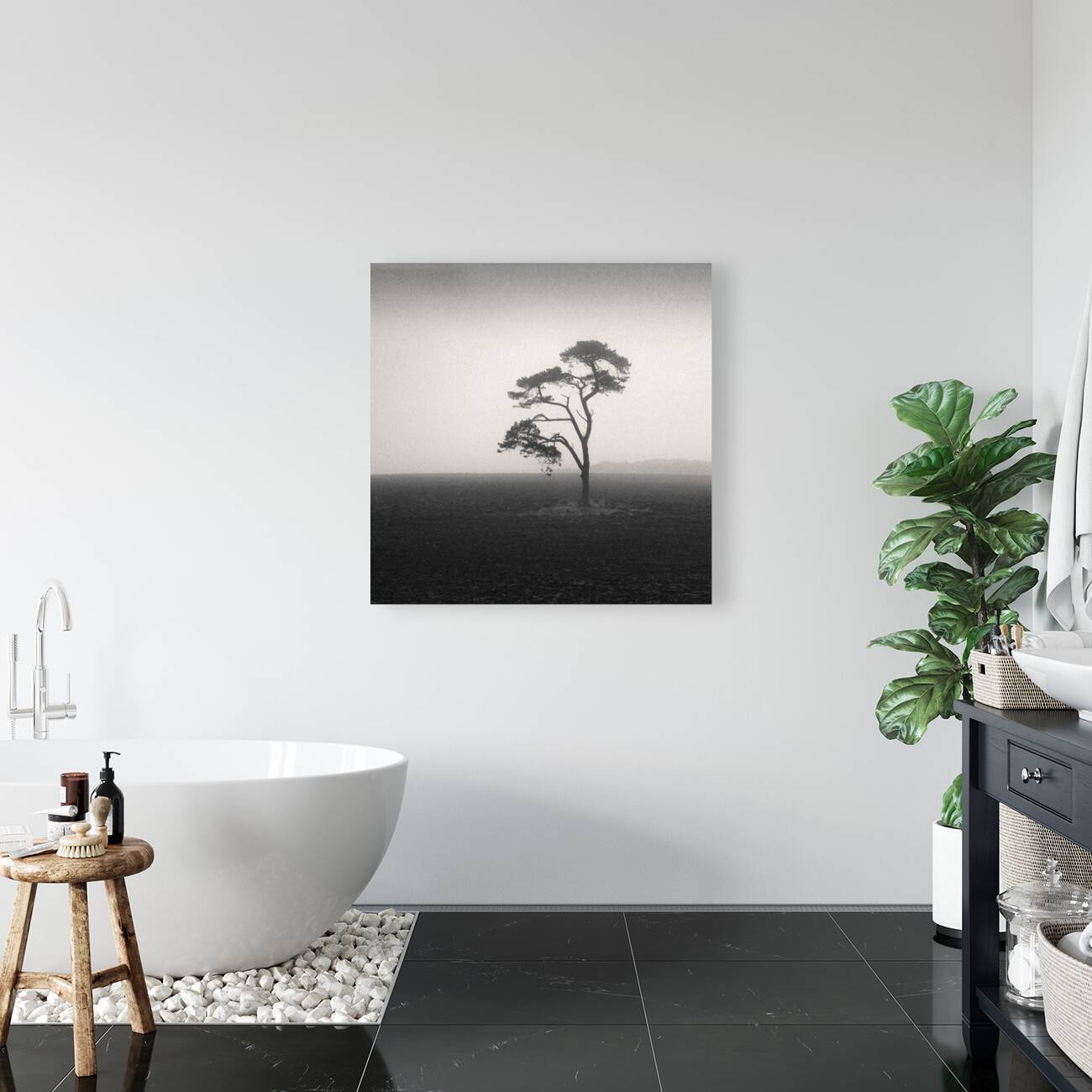 St Cyrus Tree Reproduction