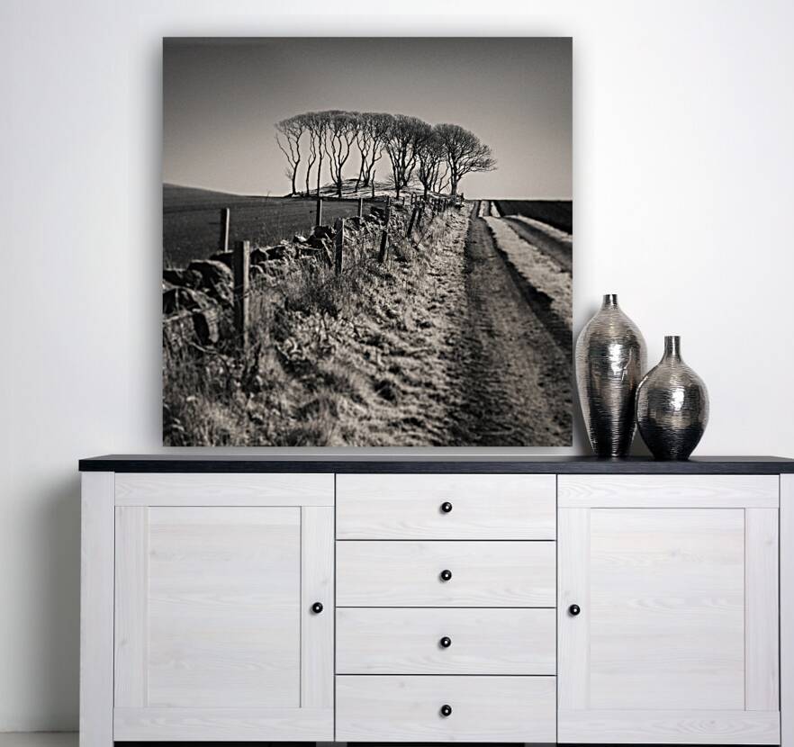 Fields End Grove Reproduction