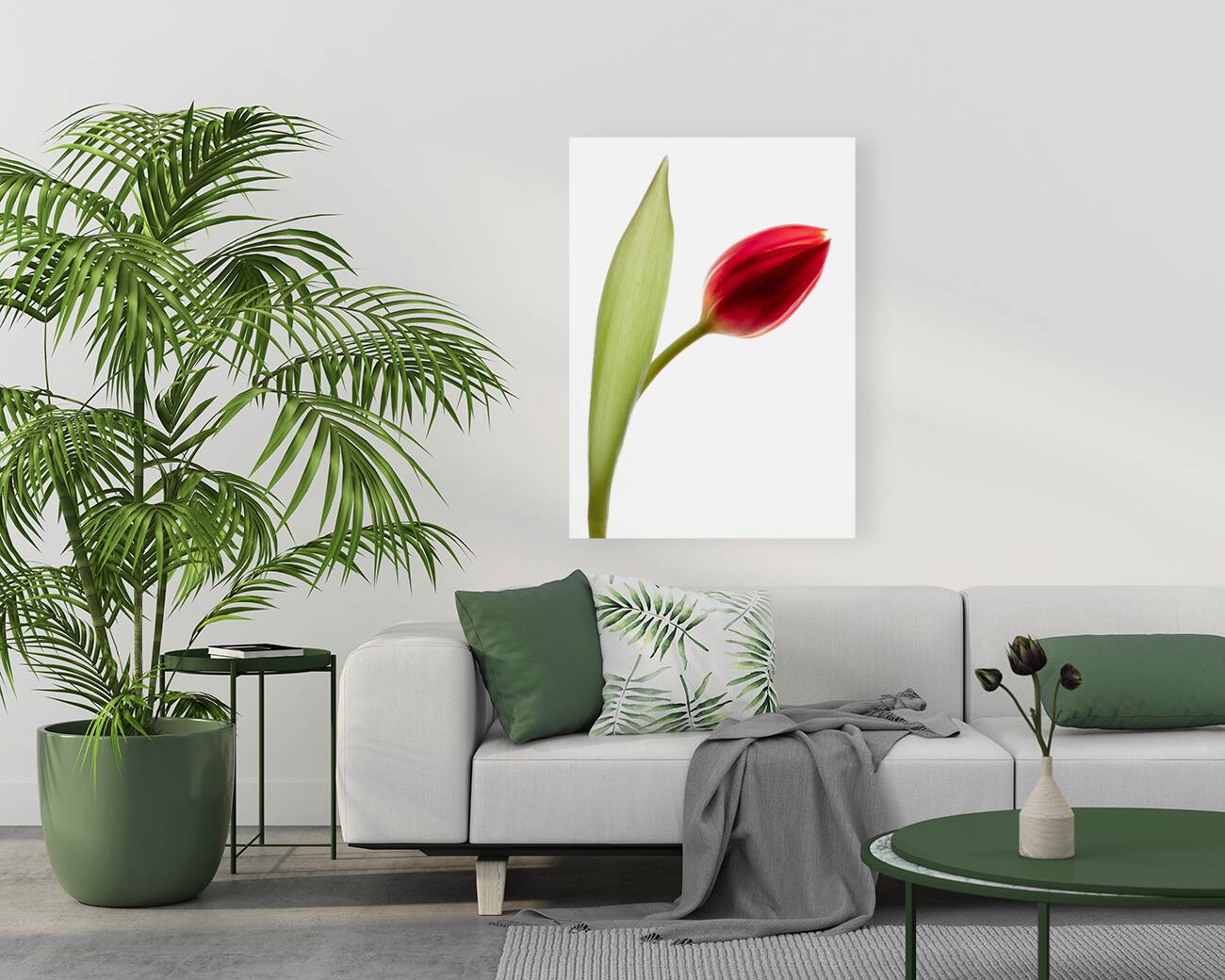 Red Tulip Reproduction