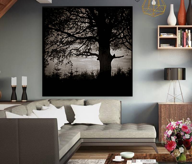 As the Day Fades Reproduction