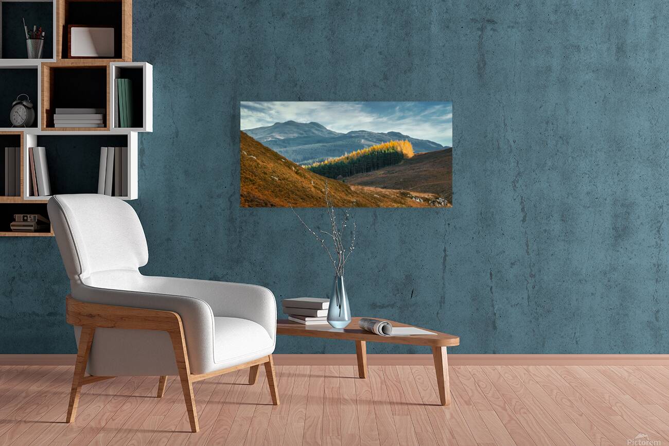 Tay Forest Edge Reproduction