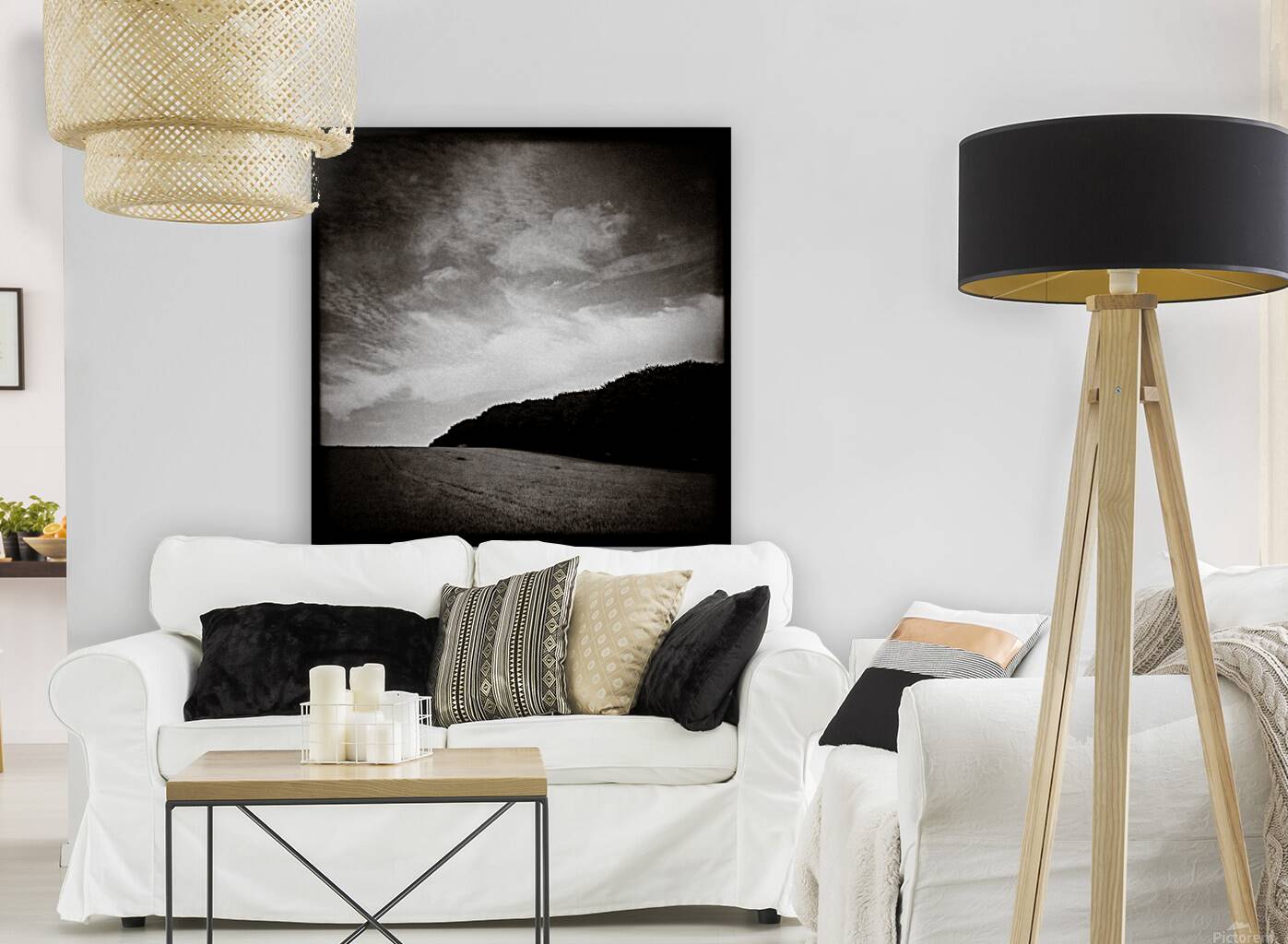 Forests Edge Reproduction