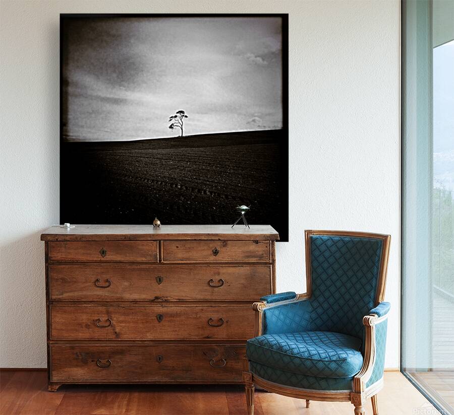 Field Tree Reproduction