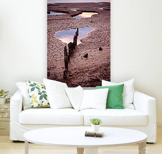 Snettisham Salt Marsh Reproduction